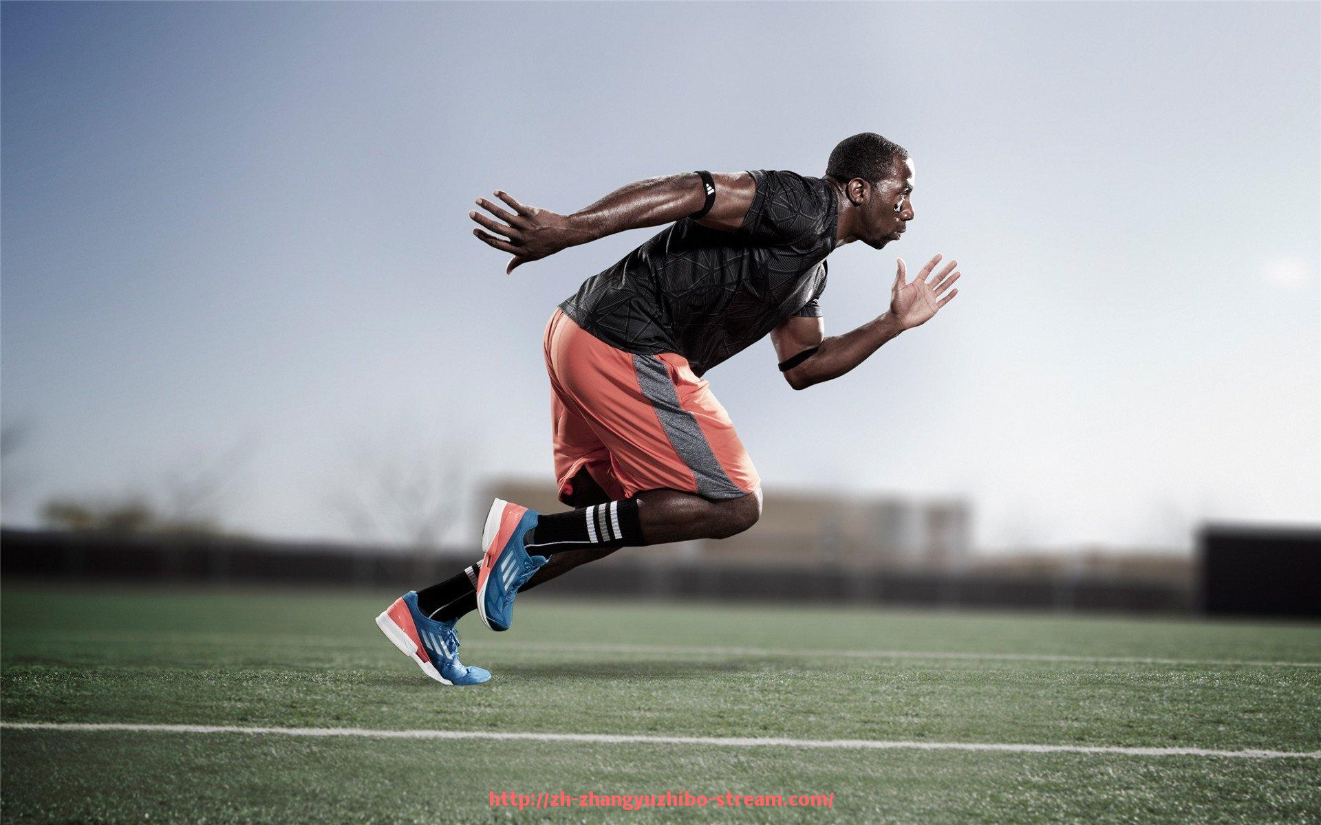 章鱼直播-绵阳康乐佳健身器材门店及客户服务体验